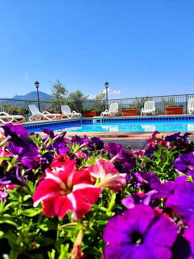 L'oliveto Hotel 3*