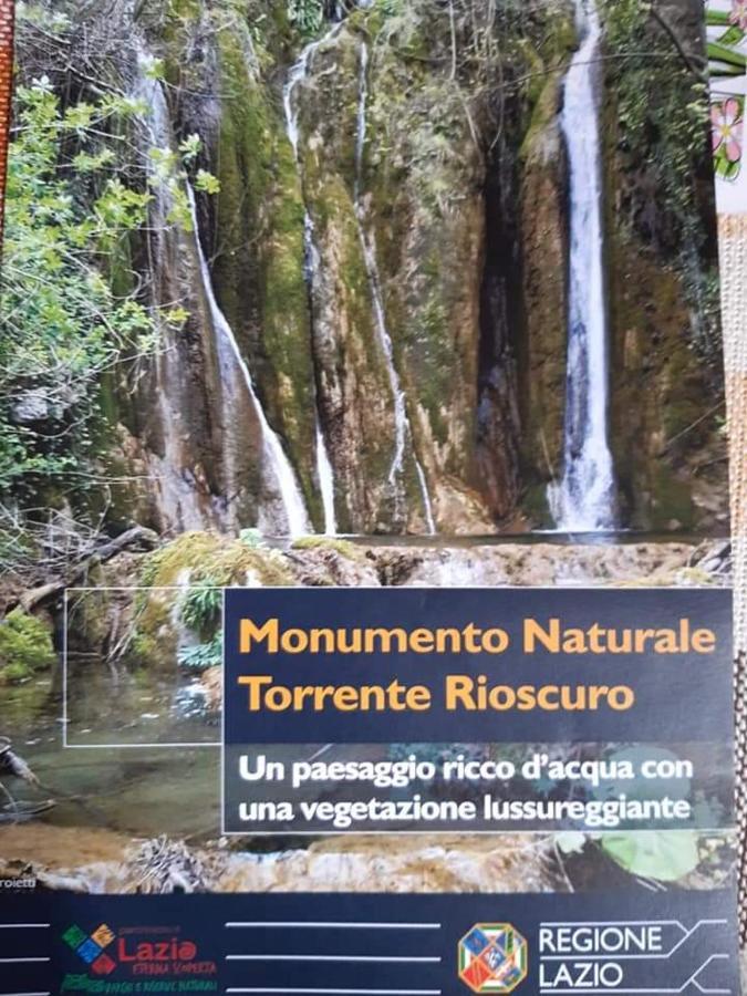 L'oliveto 3*
