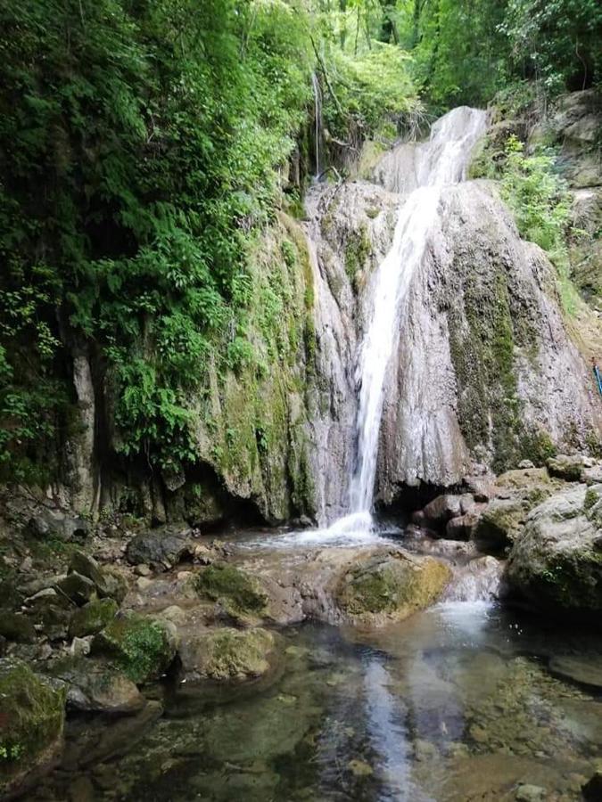 L'oliveto 3* Cineto Romano