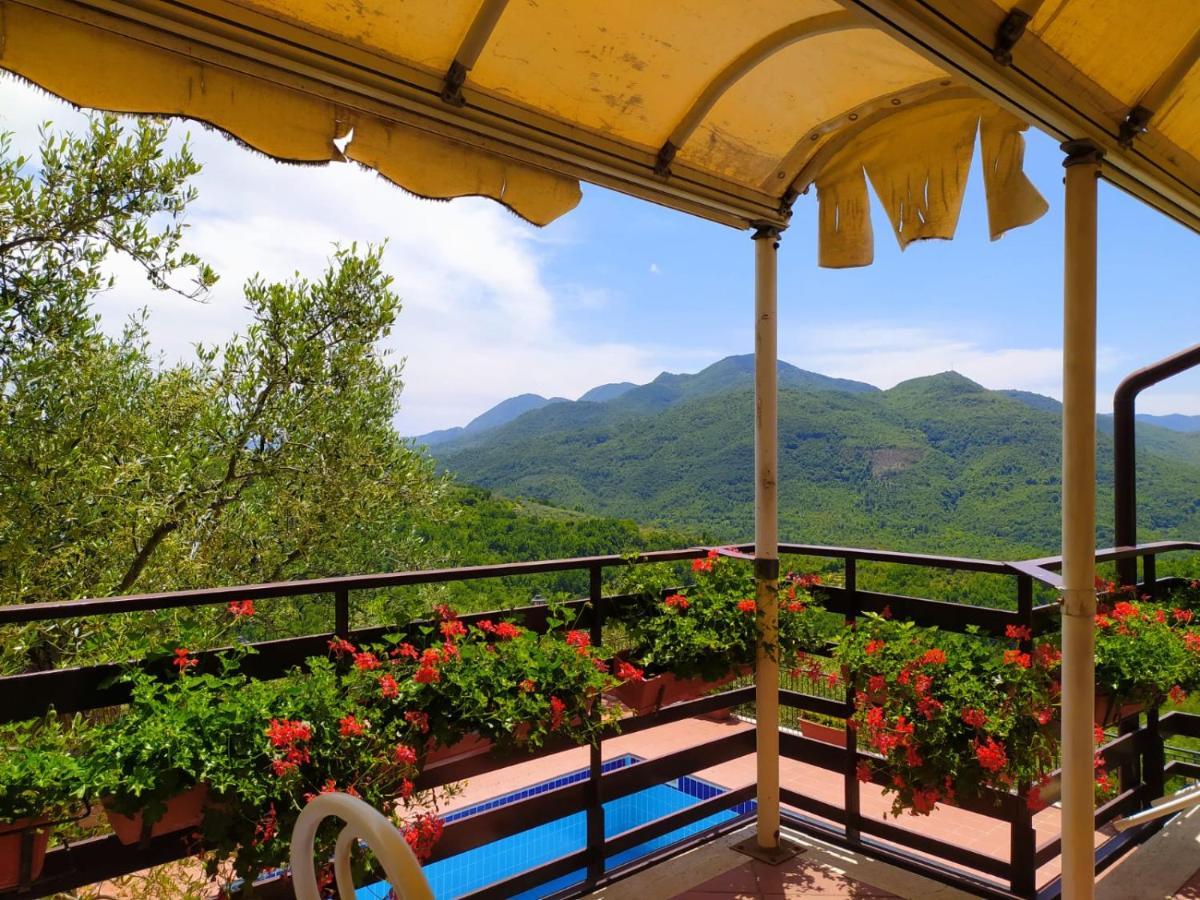 Hotel L'oliveto 3*