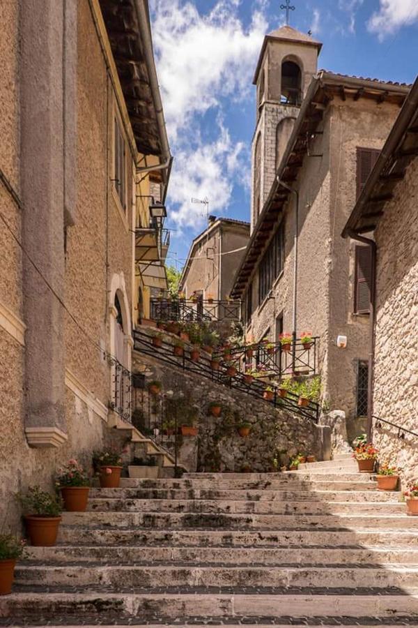 L'oliveto 3*