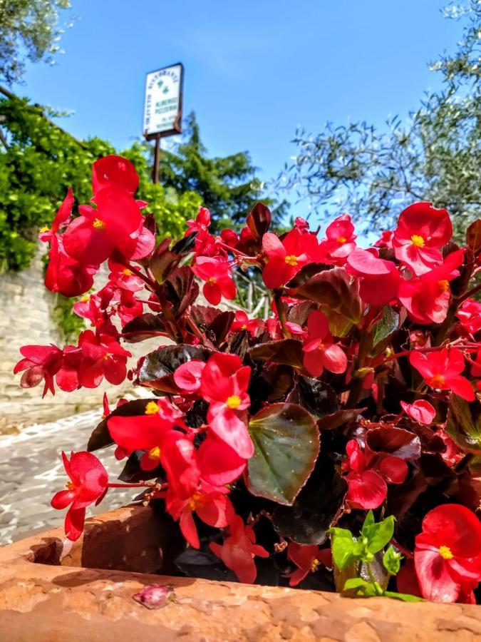 L'oliveto Cineto Romano