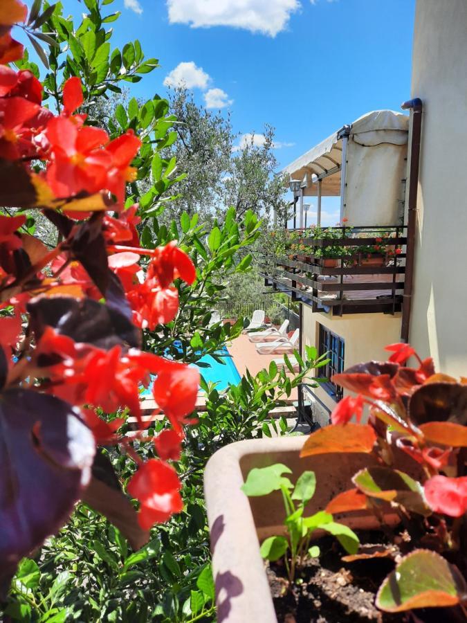 Hotel L'oliveto Cineto Romano